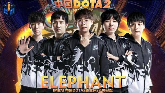 玻利维亚发现新猫种：曾被误认普通小猫，科学家震惊